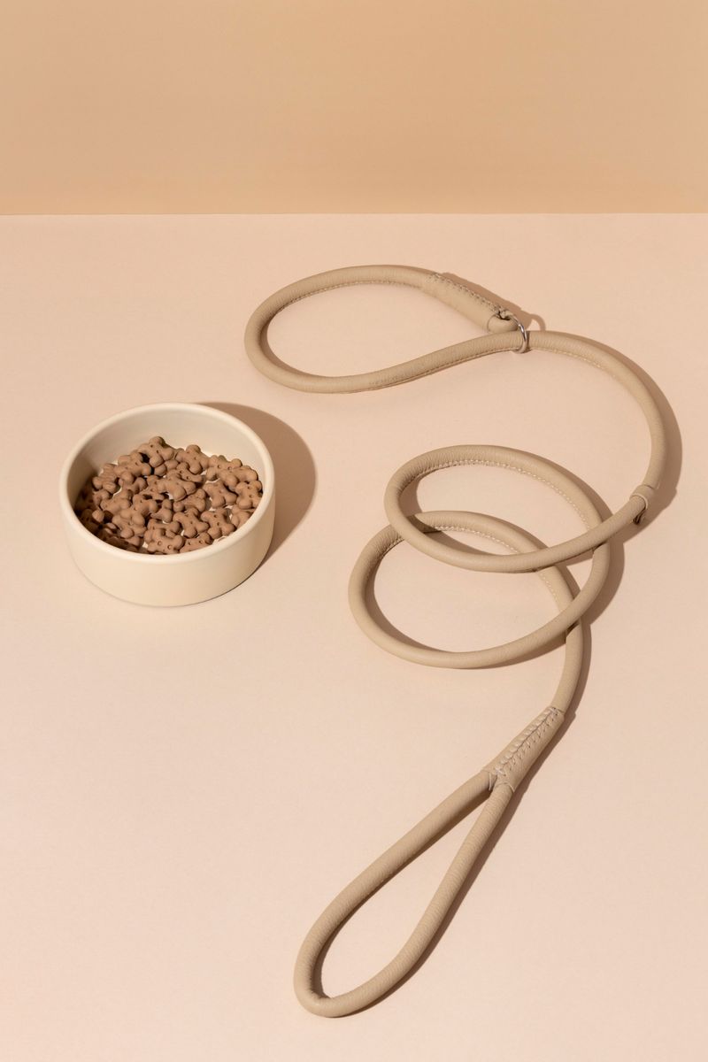 Orthopedic Dog Bed (M)