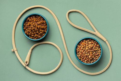 GPS Pet Tracker Collar