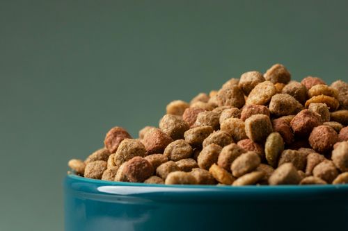Salmon Oil Supplement